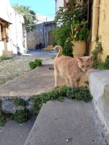 A Visit To The Delightful Old Town Of Rhodes Paliparan