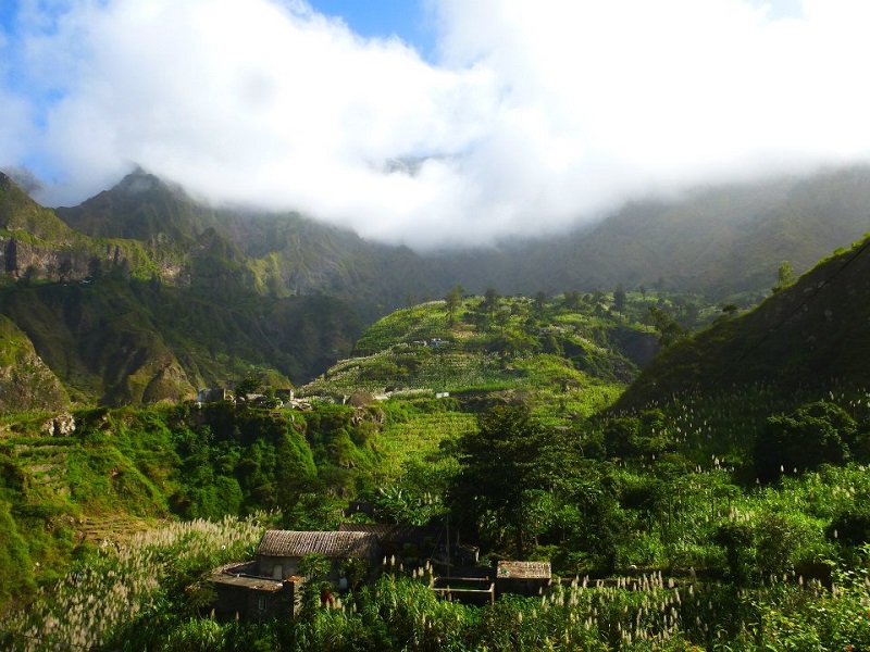 santo antao cape verde rainforest