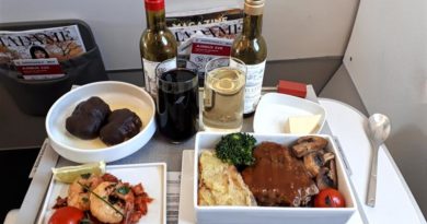air france business class meal a320 review bucharest paris