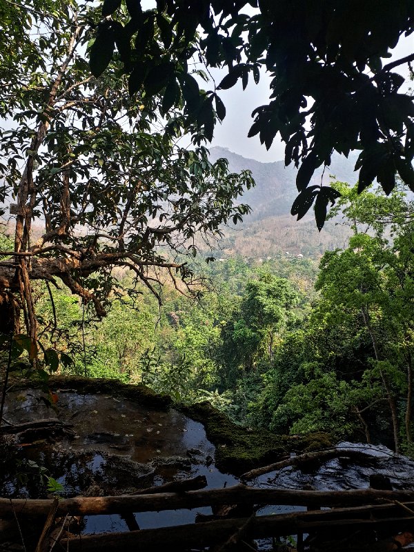 jungle view kuang si