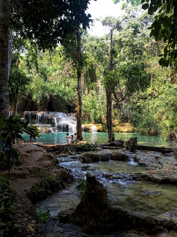 natural pool