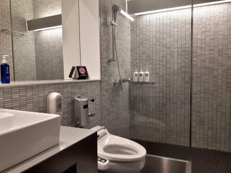 ana business lounge narita review shower room