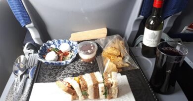 klm business class review boeing 737 food meal