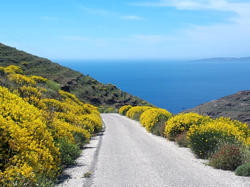 sikamia road serifos greece guide