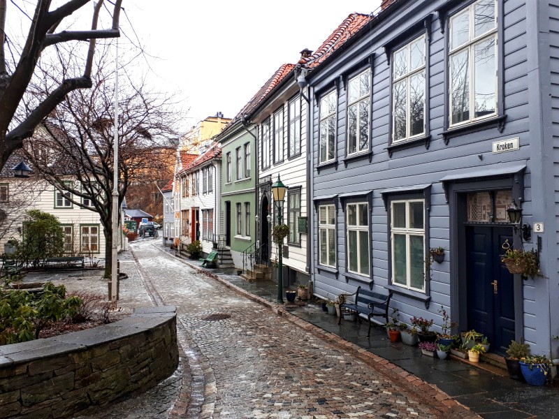 bergen street cobblestones