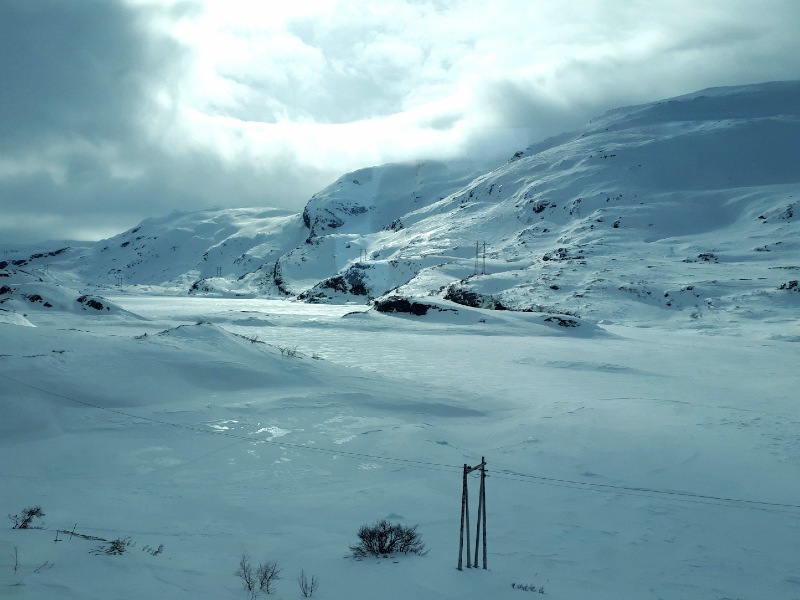 hardangervidda plateau scenery train norway