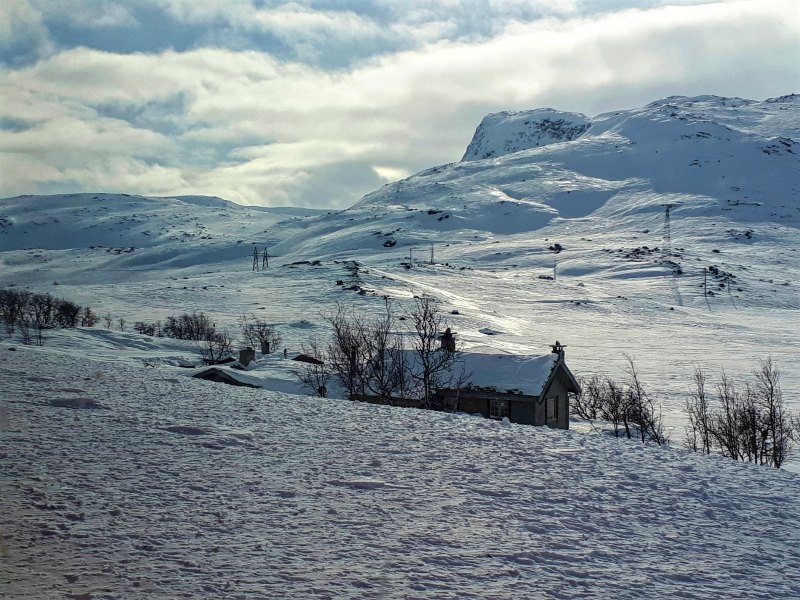 hardangervidda plateau scenery