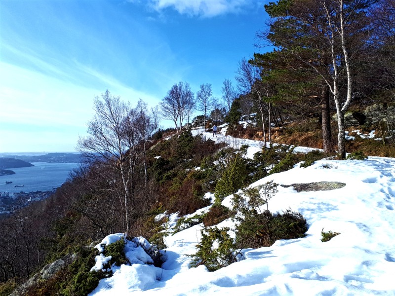 mount fløyen bergen