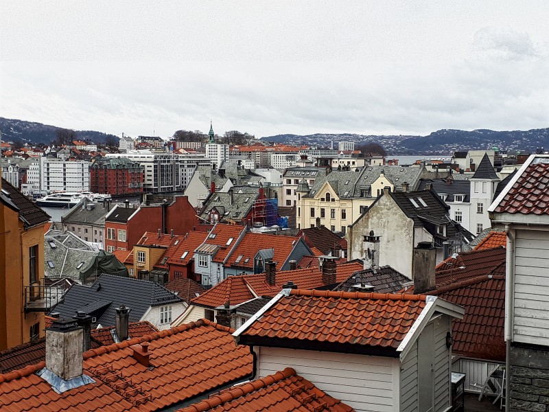 bergen view