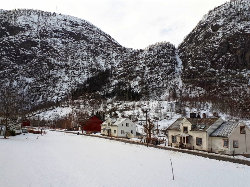 wooden houses norway train view