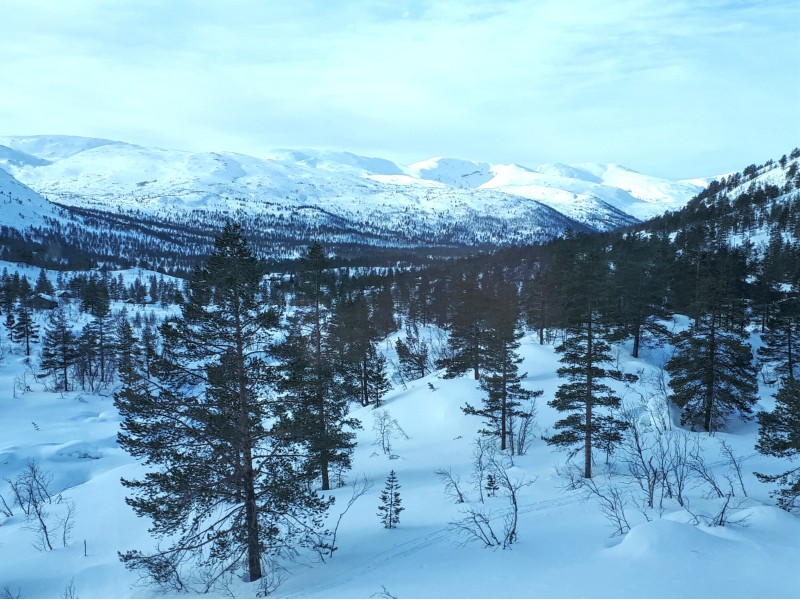 mountain scenery voss oslo bergen railway bergensbanen line