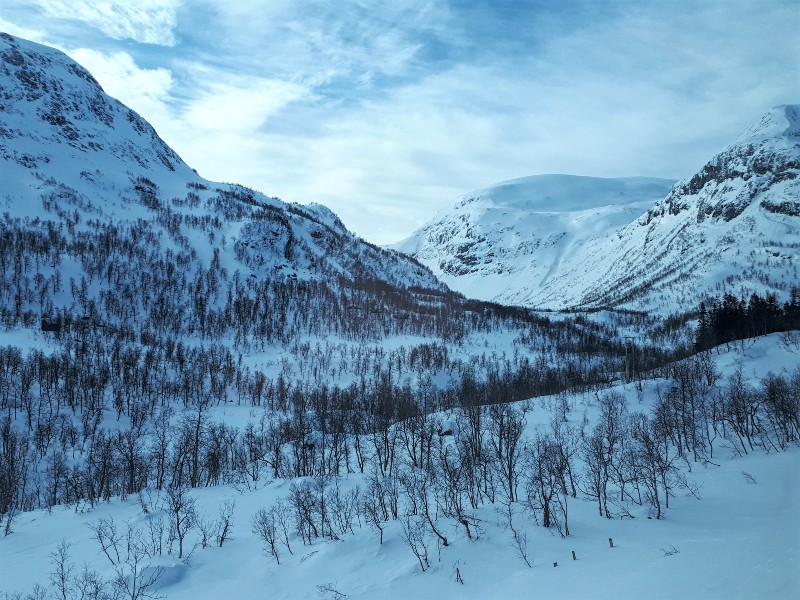 myrdal oslo bergen railway line bergensbanen