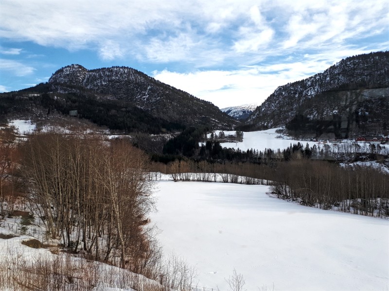 bergensbanen railway line scenery