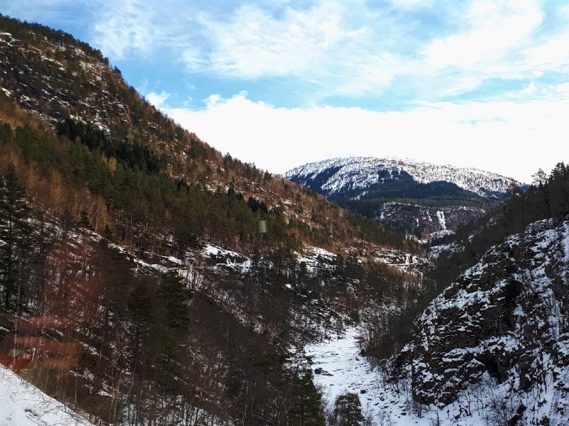 bergensbanen railway line scenery