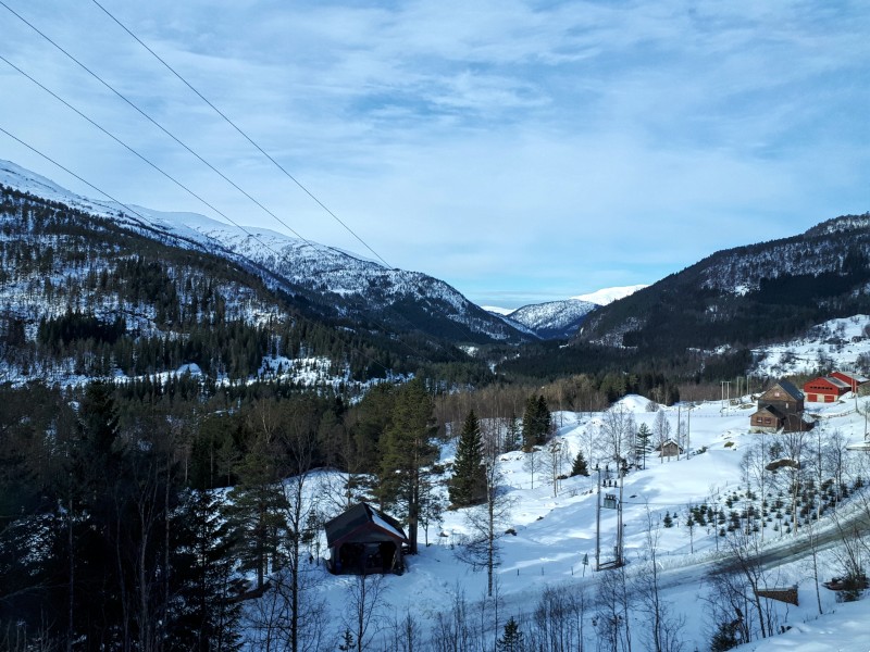 mountain view voss myrdal bergensbanen scenery