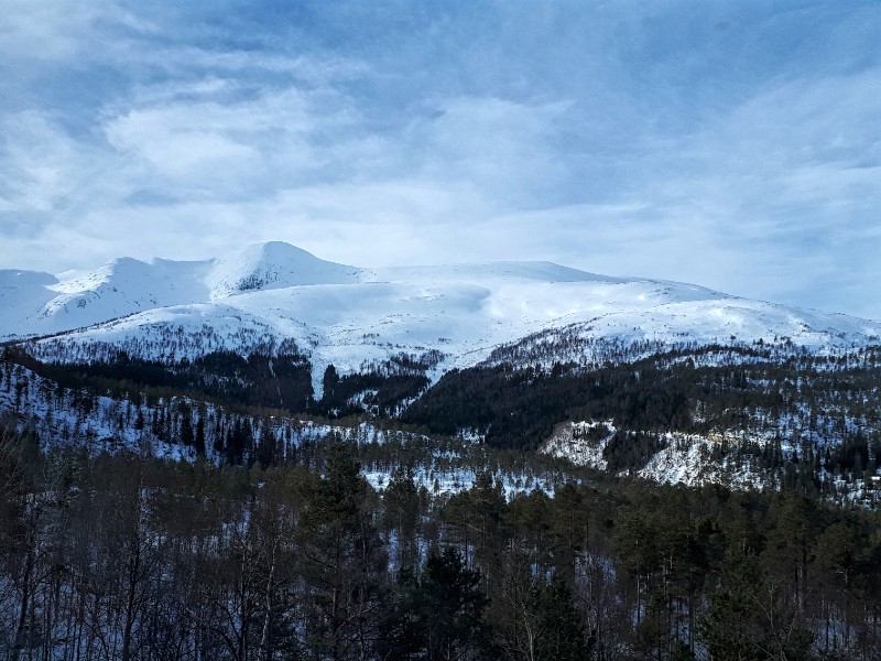 mountain view voss myrdal bergensbanen scenery