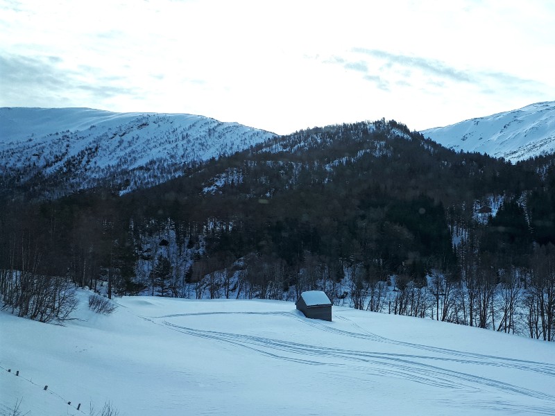 bergensbanen railway line scenery