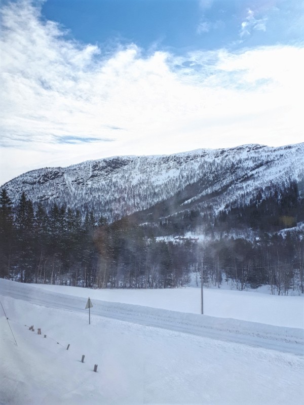 snowy road norway