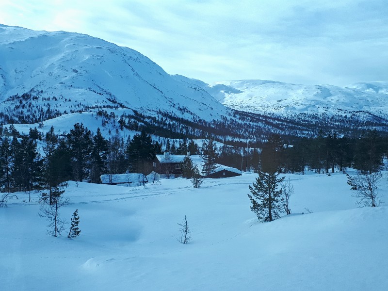 mountain scenery voss oslo bergen railway bergensbanen line