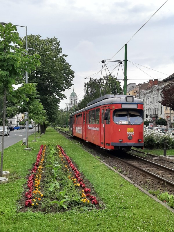 arad tram