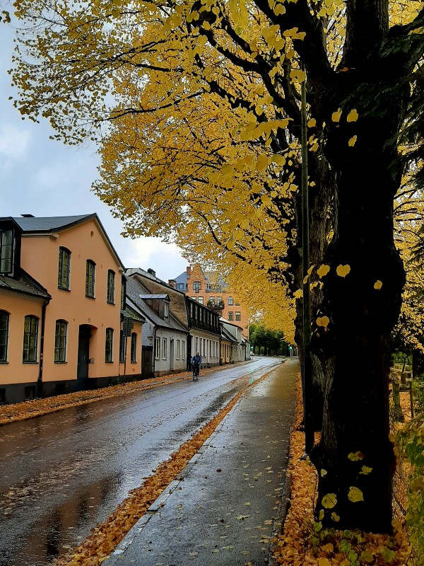 lund street autumn