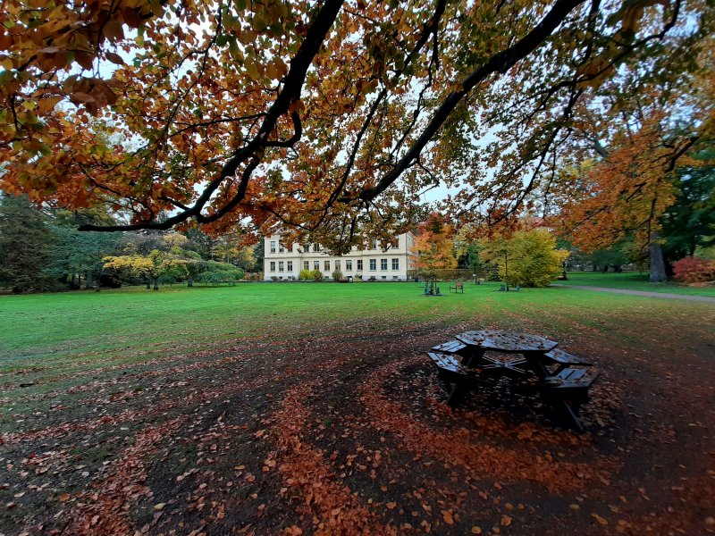 lund botanical garden autumn