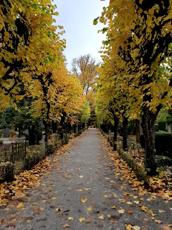 botanical garden cemetery