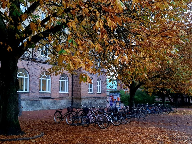 bikes university