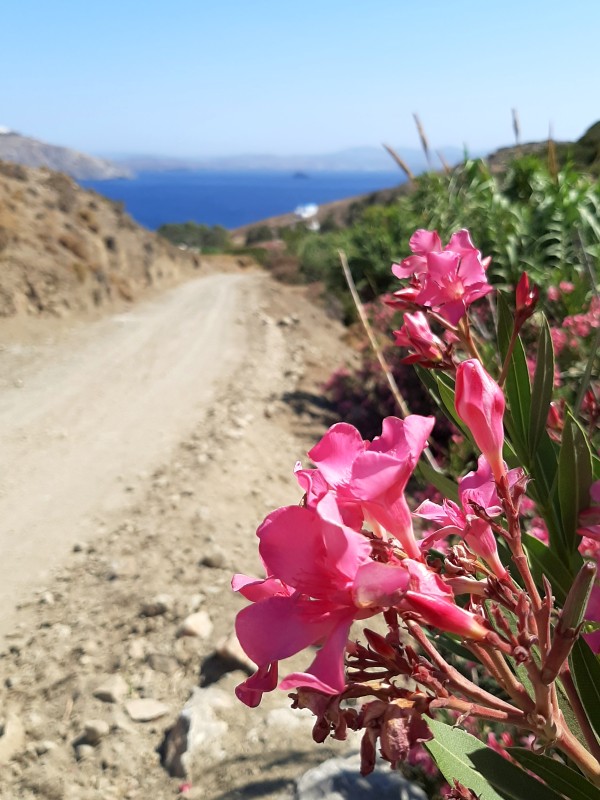 astypalea gravel road