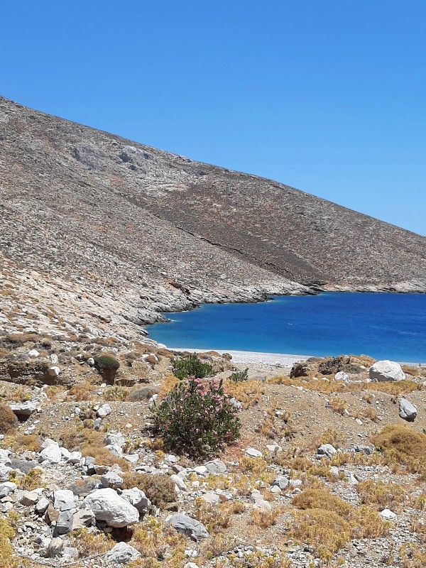 kaminakia beach astypalea