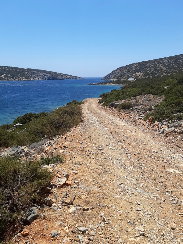 agrilidi astypalaia