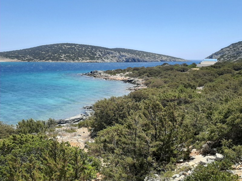 agrilidi astypalaia