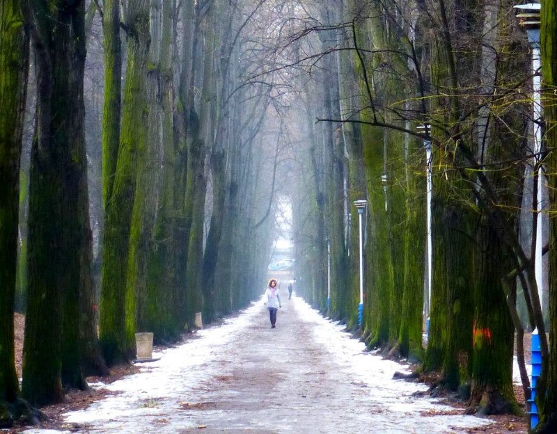 chernivtsi park