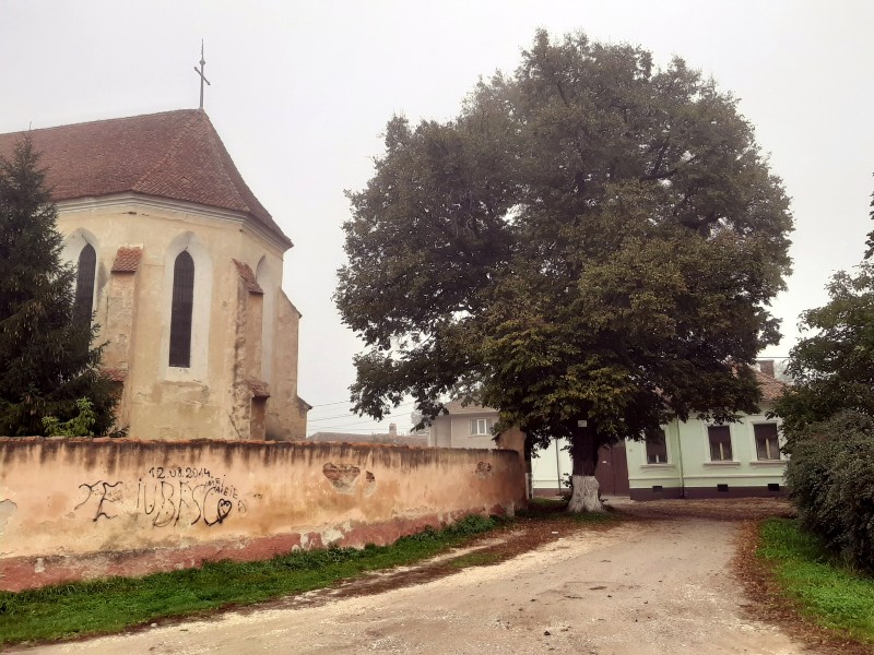 feldioara marienburg saxon fortified church