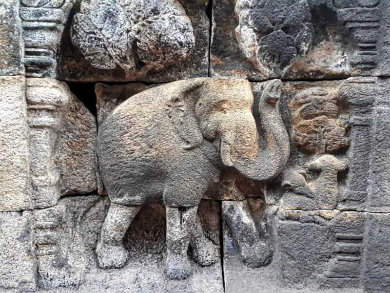 elephant relief borobudur