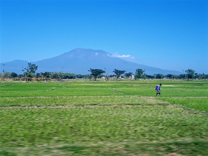 train view indonesia