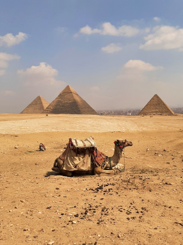 giza pyramids egypt trip report camel