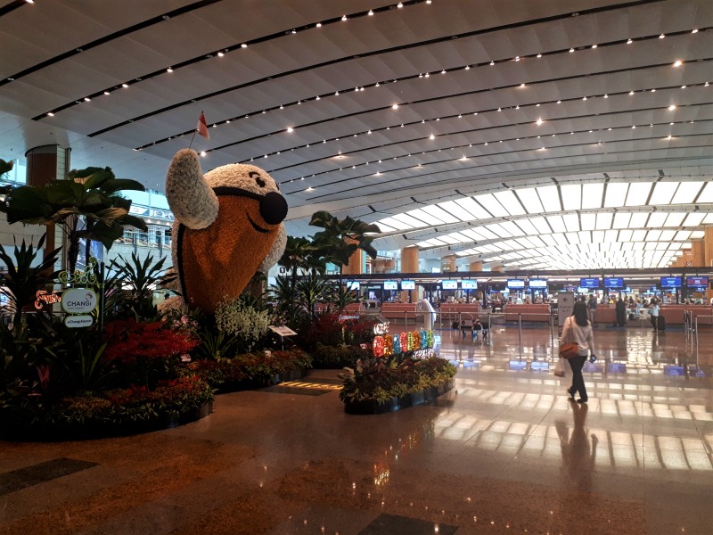 singapore changi airport check-in