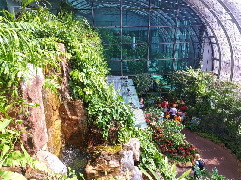 butterfly garden singapore airport terminal 3