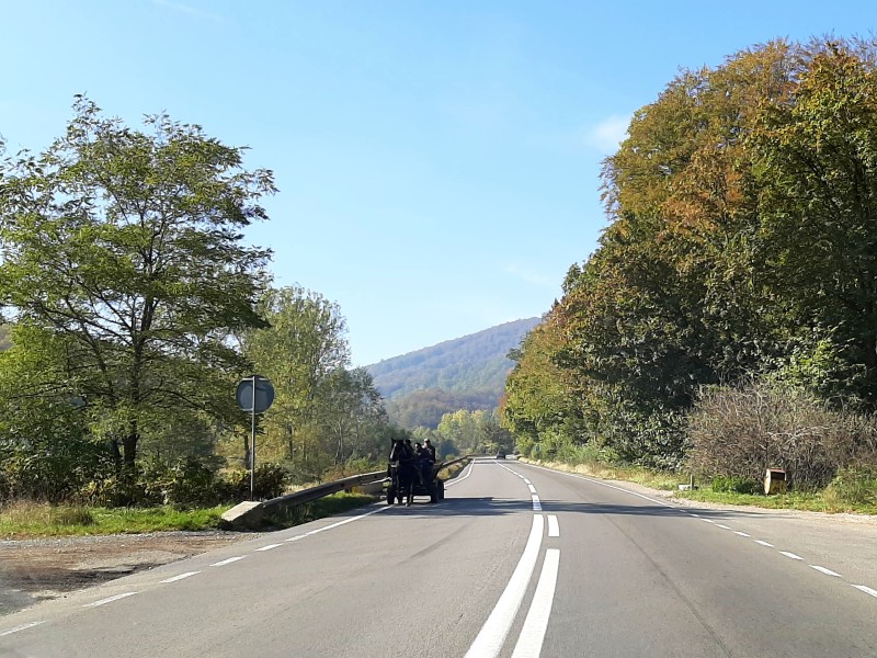 horse-drawn carriage romania road