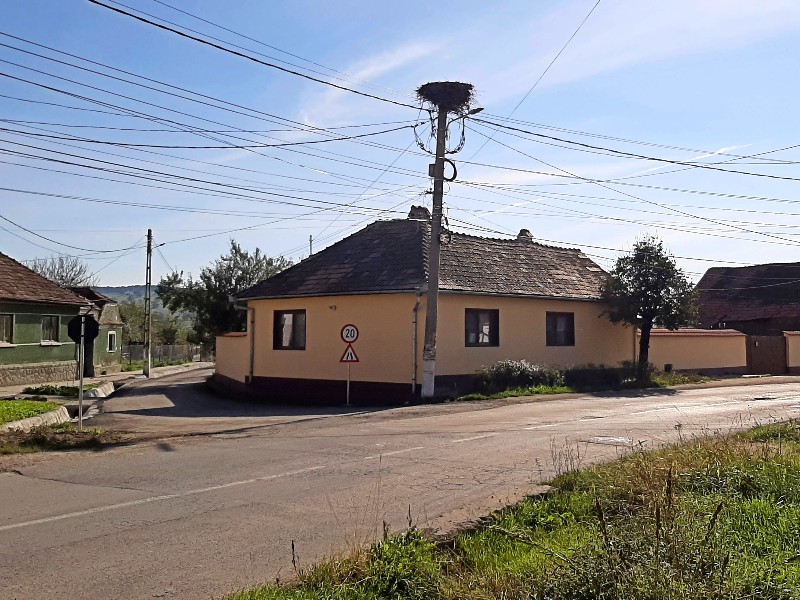 stork nest romania village