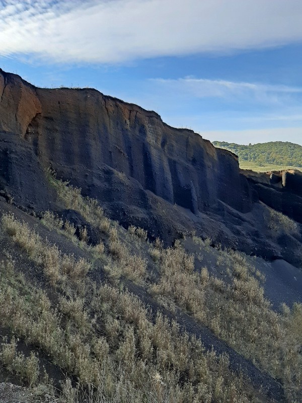 black rocks