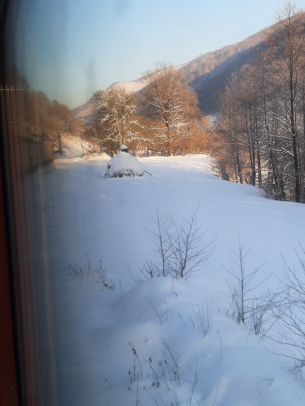 train window view