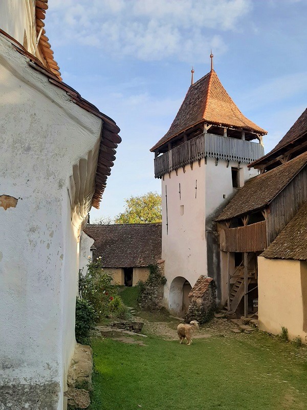 gate tower fortified church viscri