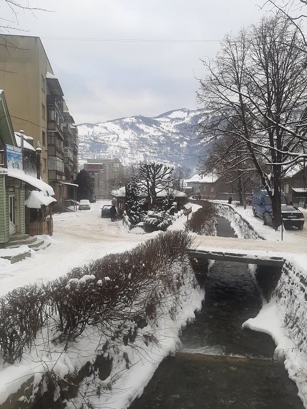 carpathians ukraine town