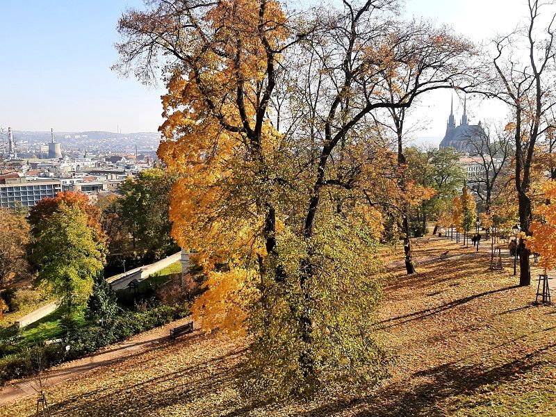 autumn brno