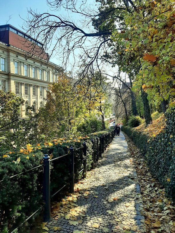 old town brno