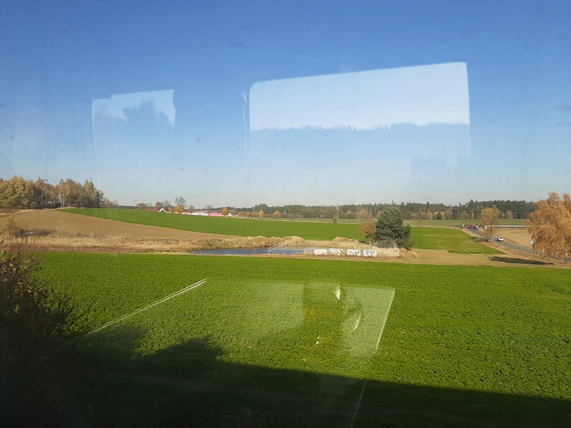 train view