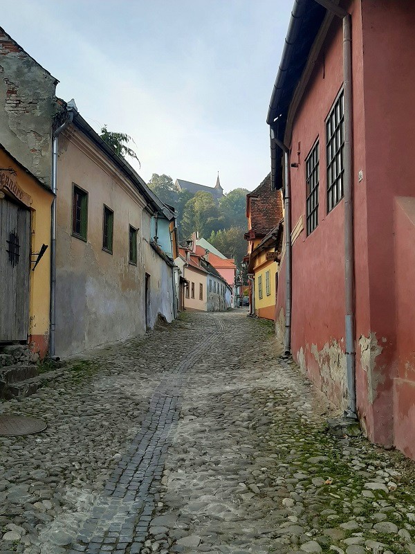 sighisoara old town citadel