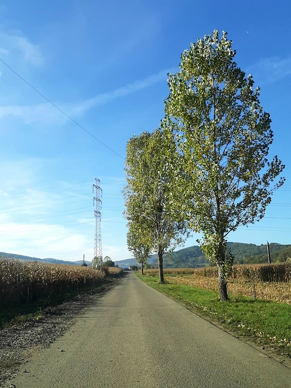 saschiz cloasterf road